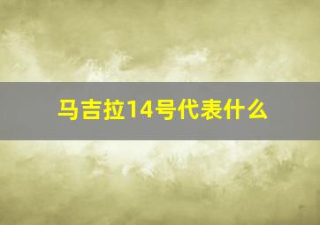 马吉拉14号代表什么