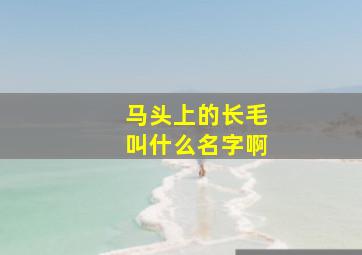 马头上的长毛叫什么名字啊