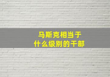 马斯克相当于什么级别的干部