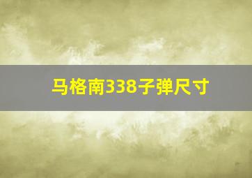 马格南338子弹尺寸