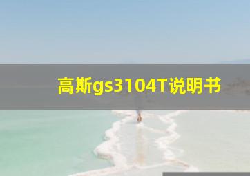 高斯gs3104T说明书