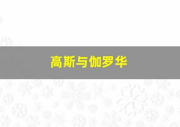 高斯与伽罗华