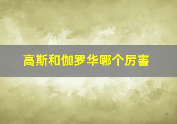 高斯和伽罗华哪个厉害