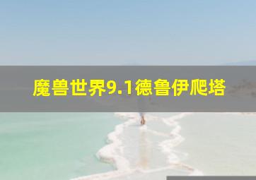 魔兽世界9.1德鲁伊爬塔