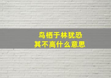 鸟栖于林犹恐其不高什么意思