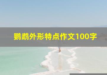 鹦鹉外形特点作文100字