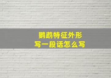 鹦鹉特征外形写一段话怎么写