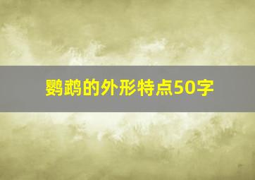 鹦鹉的外形特点50字