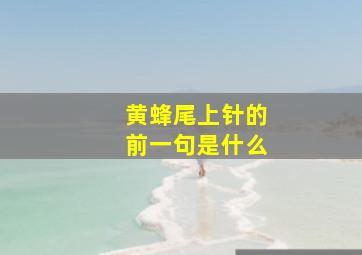 黄蜂尾上针的前一句是什么