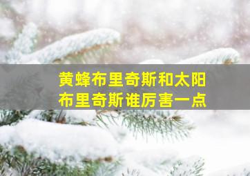 黄蜂布里奇斯和太阳布里奇斯谁厉害一点