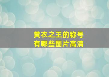 黄衣之王的称号有哪些图片高清