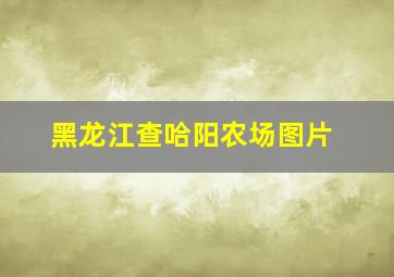 黑龙江查哈阳农场图片